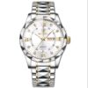 BINBOND 2521 Luxury Brand Luminous Quartz Watch For Men (silver)